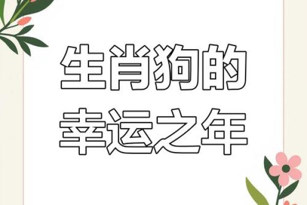 属狗的2025年多大了虚岁呢_2025年属狗人虚岁年龄计算及运势解析 属狗的2025年多大了虚岁呢_2025年属狗人虚岁年龄计算及运势解析