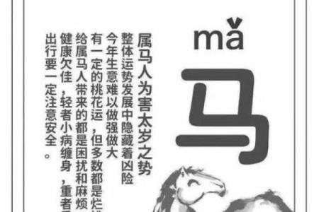 1990年属马人2025年事业运势_1990年属马人到2023年怎么样