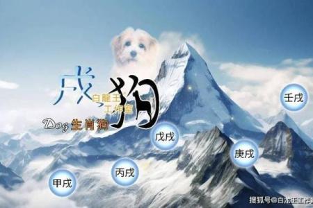 属狗的2025年多大了虚岁呢_2025年属狗人虚岁年龄计算及运势解析