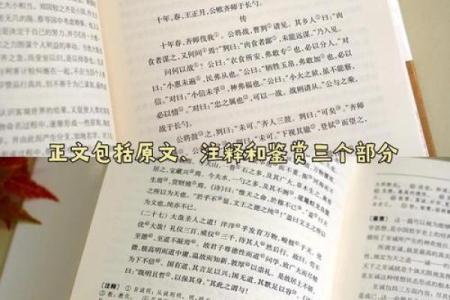 四书五经指什么生肖(四书五经指哪个生肖)