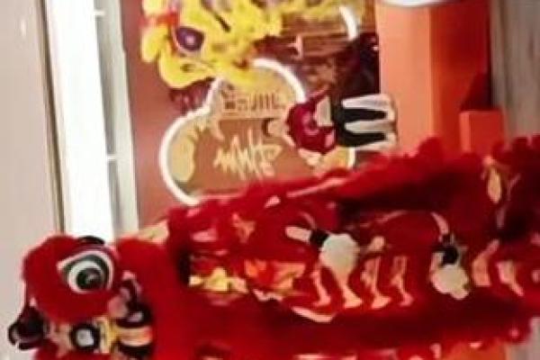 摇头摆尾打一最佳生肖(摇头摆尾打一最佳生肖) 摇头摆尾打一最佳生肖(摇头摆尾打一最佳生肖)