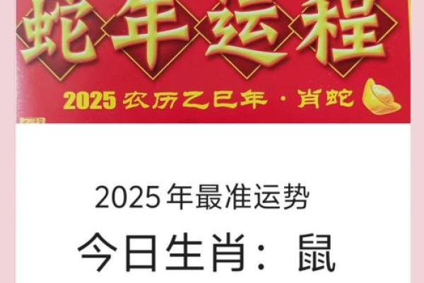 1972年的鼠2025年的运势