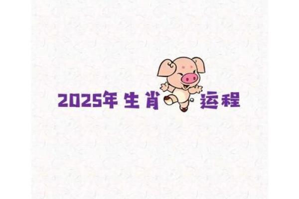 1971年属猪2025年幸运色 1971年属猪2025年幸运色揭秘助你运势飙升