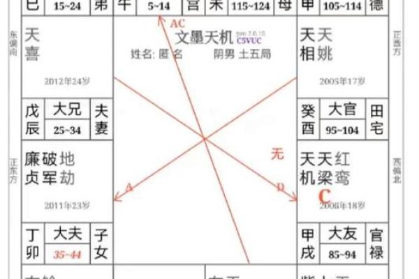 2025年4月5日亥时男命紫微斗数全解盘 2025年4月5日亥时男命紫微斗数全解盘