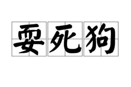 女人梦到死狗是什么征兆