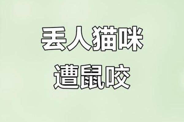 梦见被猫咬住不放甩不掉 梦见被猫咬住不放甩不掉