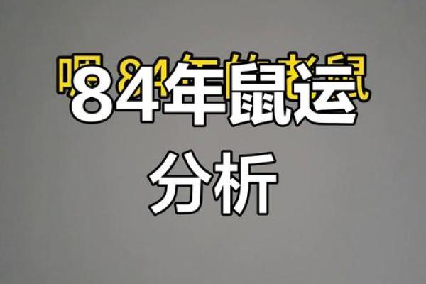 1984年属鼠是什么命2025年运势 1984年属鼠是什么命2025年运势
