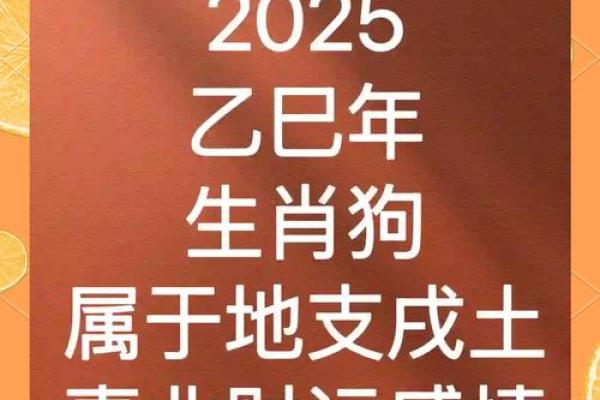 属狗的今年多大2025年 1970年属狗多大 属狗的今年多大2025年 1970年属狗多大