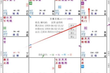 2025年4月14日申时女命紫微斗数全解盘