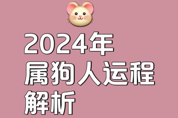 2025年生肖狗的运势_2025年生肖狗运势详解财运事业爱情全面解析 2025年生肖狗的运势_2025年生肖狗运势详解财运事业爱情全面解析