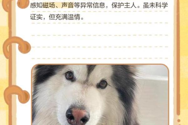 梦见打死狗有什么预兆 梦见打死狗有什么预兆