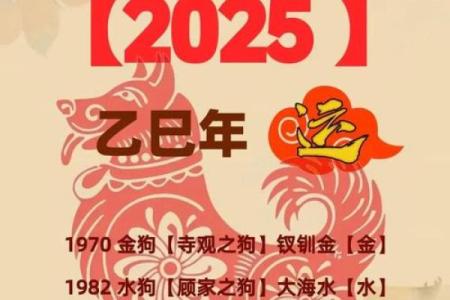 2025属狗最旺三种颜色 2025年属狗最旺的三种颜色助你运势飙升
