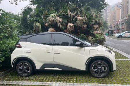 4月29日提车日子怎么样呢