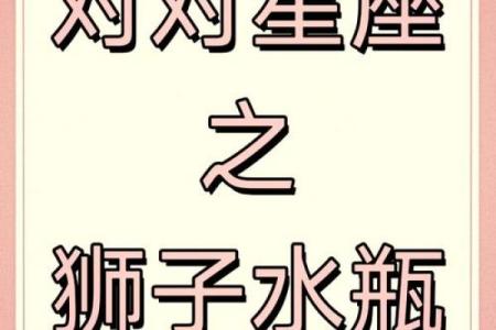 双子座男跟水瓶座女(双子座男水瓶座女配对指数)