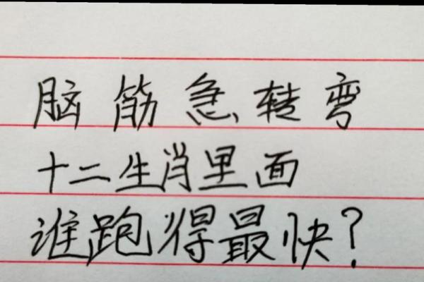 一事无成代表什么生肖 一事无成代表什么生肖