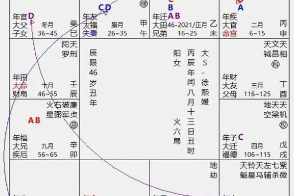 2025年4月24日辰时女命紫微斗数全解盘 2025年4月24日辰时女命紫微斗数全解盘