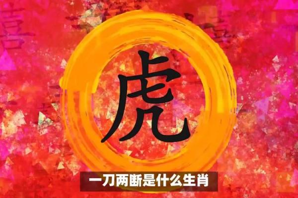 单刀直入指什么生肖(单刀直入指的是什么生肖)