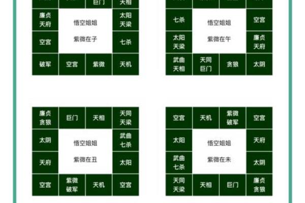 2025年4月24日戌时女命紫微斗数全解盘 2025年4月24日戌时女命紫微斗数全解盘