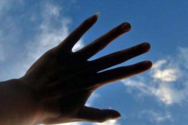 一手遮天什么生肖 一手遮天什么生肖