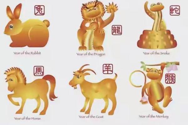 五花八门是什么生肖 五花八门是什么生肖