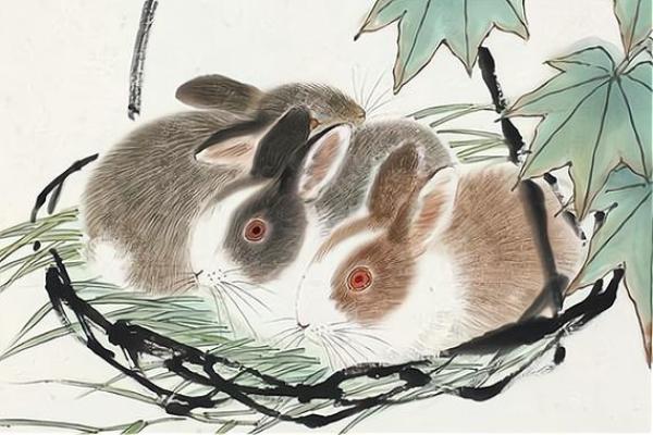 属兔今年开业什么时间好一点 属兔今年开业什么时间好一点