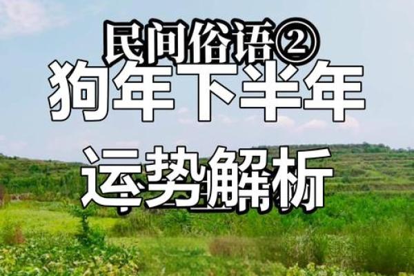 1994属狗男2025年运势详解全年运程大揭秘 1994属狗男2025年运势详解全年运程大揭秘