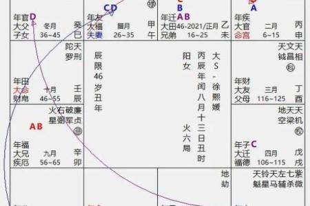 2025年4月24日辰时女命紫微斗数全解盘