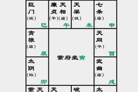 2025年4月3日辰时男命紫微斗数全解盘