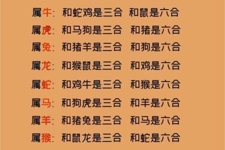 闲云野鹤是什么生肖