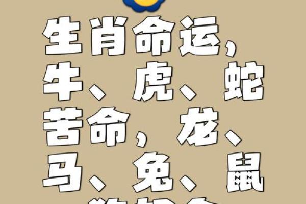 多愁善感的动物是什么生肖