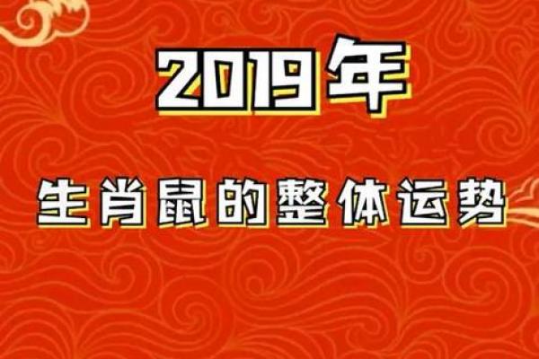 84年属鼠今年运势 84年属鼠今年运势
