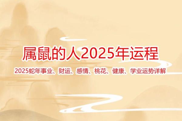 1972年属鼠2025年运势及运程详解 1972年属鼠2025年运势及运程详解