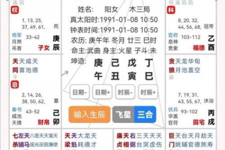 2025年4月8日巳时女命紫微斗数全解盘