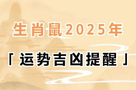鼠人运势2025年运程