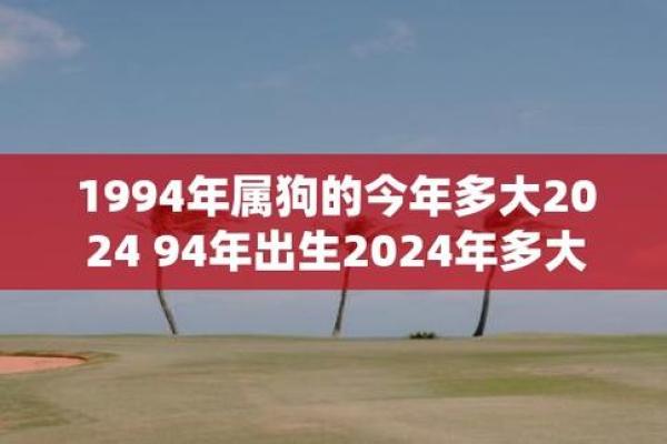 1994年狗2025年运势 2025年1994属狗人的全年运势 1994年狗2025年运势 2025年1994属狗人的全年运势
