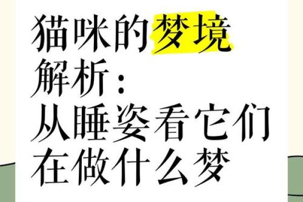 周公解梦梦见猫 周公解梦梦见猫