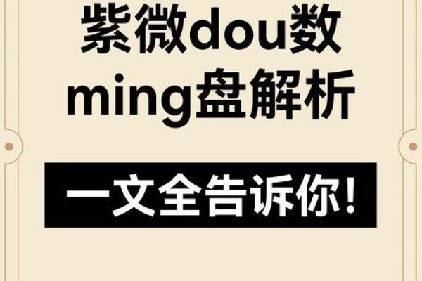2025年4月1日未时女命紫微斗数全解盘