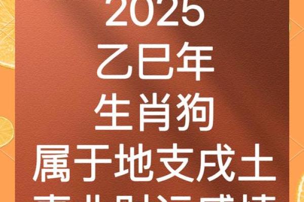2025年狗生肖运势详解财运事业爱情全解析 2025年狗生肖运势详解财运事业爱情全解析