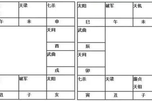 2025年4月25日丑时男命紫微斗数全解盘 2025年4月25日丑时男命紫微斗数全解盘