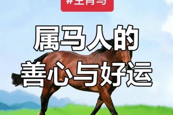 默默无闻是什么生肖