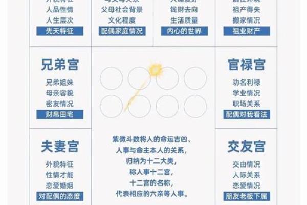 2025年4月25日酉时女命紫微斗数全解盘 2025年4月25日酉时女命紫微斗数全解盘