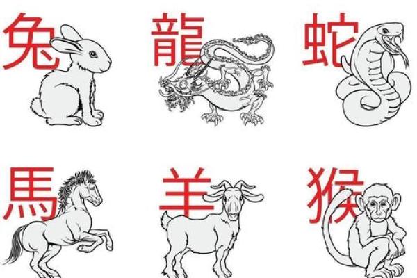 目光短浅的三大生肖(目光短浅的生肖是什么动物)