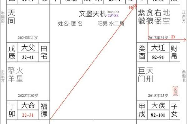 2025年4月6日未时男命紫微斗数全解盘