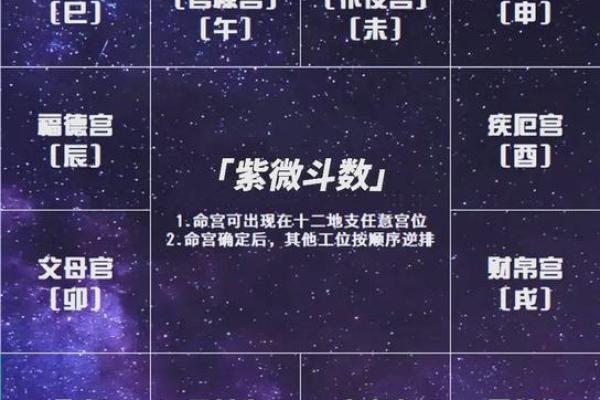 2025年4月22日酉时女命紫微斗数全解盘 2025年4月22日酉时女命紫微斗数全解盘