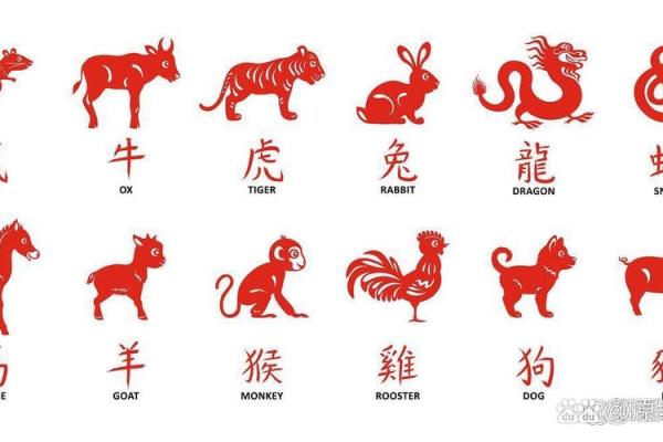 2019年属什么生肖