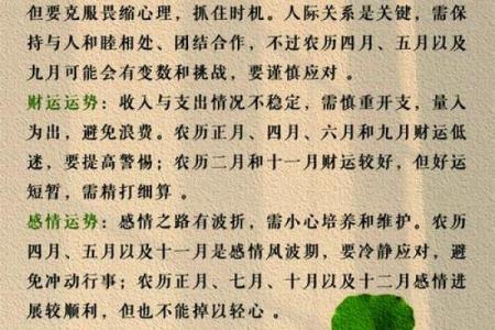 2025年十二星座运势大揭秘谁将迎来巅峰时刻