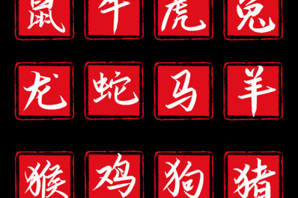 出双入对打一生肖(出双入对猜生肖) 出双入对打一生肖(出双入对猜生肖)