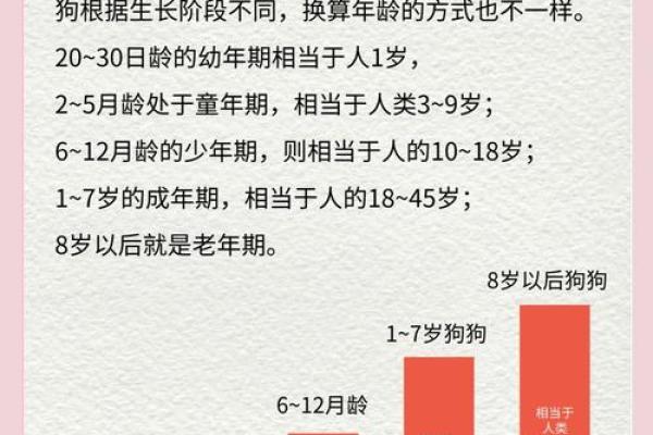2025年06年属狗人年龄揭秘你几岁了 2025年06年属狗人年龄揭秘你几岁了