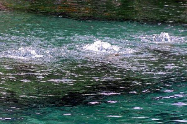 2005属鸡男孩泉中水一生 泉中水命几月出生好 2005属鸡男孩泉中水一生 泉中水命几月出生好