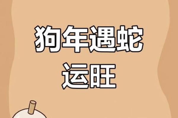 2006年属狗男2025年运势详解运程走向与关键转折点 2006年属狗男2025年运势详解运程走向与关键转折点
